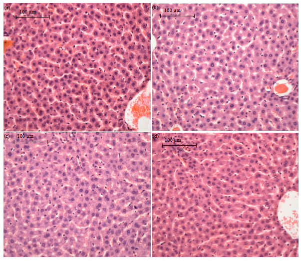 Image for - Assessment of Lipid Profiles, Antioxidant Status and Liver Histopathology  in Male Wistar Rats Following Dietary Intake of Rooibos (Aspalathus linearis)