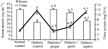 Image for - Ameliorative Actions of Garlic (Allium sativum) and Ginger (Zingiber 
  officinale) on Biomarkers of Diabetes and Diabetic Nephropathy in Rats: 
  Comparison to Aspirin