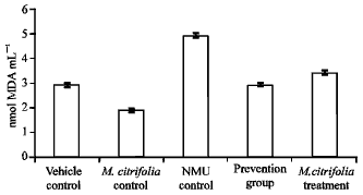 Image for - Effect of Morinda citrifolia (Noni) Fruit Juice on Antioxidant, Hematological and Biochemical Parameters in N-Methyl-N-Nitrosourea(NMU) Induced Mammary Carcinogenesis in Sprague-Dawley Rats