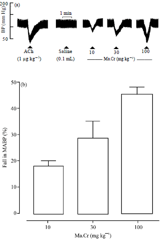 Image for - Blood Pressure Lowering Effect of Morus alba is Mediated Through Ca++ Antagonist Pathway