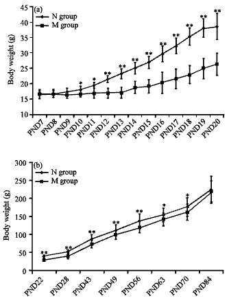 Image for - Haloperidol and Clozapine Reverse MK-801-Induced Deficits in Hypoactivity, but Not the Impairment of Spatial Memory in Sprague-Dawley Rats