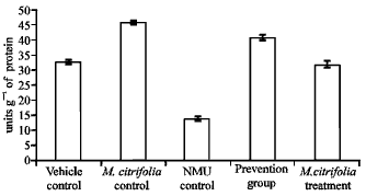 Image for - Effect of Morinda citrifolia (Noni) Fruit Juice on Antioxidant, Hematological and Biochemical Parameters in N-Methyl-N-Nitrosourea(NMU) Induced Mammary Carcinogenesis in Sprague-Dawley Rats