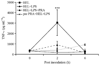 Image for - Mitigation of Septic Signs by Pravastatin during LPS Co-Administered Hen-Egg White Lysozyme Immunization in Mice
