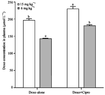 Image for - Effect of Ciprofloxacin on the Plasma Concentration of Doxorubicin, Following Acute and Chronic Dose Protocol in Sprague Dawley Rats