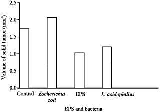 Image for - Evaluation of Antioxidant and Antitumor Activities of Lactobacillus acidophilus Bacteria Isolated from Egyptian Infants