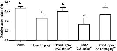Image for - Cardiac Troponin-I (cTnI) a Biomarker of Cardiac Injuries Induced by Doxorubicin Alone and in Combination with Ciprofloxacin, Following Acute and Chronic Dose Protocol in Sprague Dawley Rats
