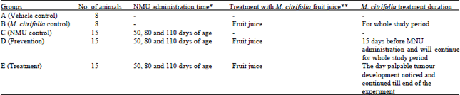 Image for - Effect of  Morinda citrifolia (Noni) Fruit Juice on Antioxidant, Hematological and Biochemical Parameters in N-Methyl-N-Nitrosourea(NMU) Induced Mammary Carcinogenesis in Sprague-Dawley Rats