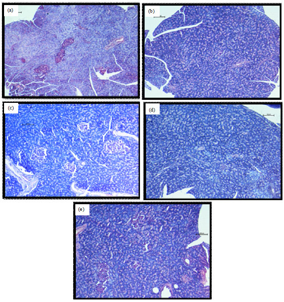 Image for - Antihyperglycemic Effects of Nephelium lappaceum Rind Extract in High Fat-Induced Diabetic Rats