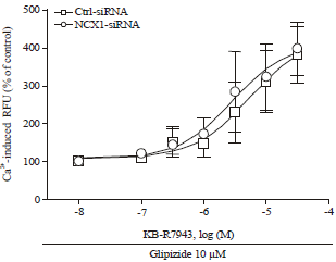 Image for - KB-R7943 Increases Glucose-Stimulated Insulin Secretion from INS-1E Cells through an NCX1-Independent Pathway
