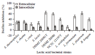 Image for - Antibacterial and Plasmid Curing Activity of Lactic Acid Bacteria against Multidrug Resistant Bacteria Strains