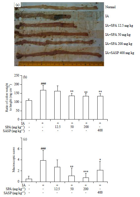 Image for - Siegesbeckia pubescens Attenuates Iodoacetamide-induced Colitis in Rats
