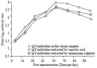 Image for - Production and Evaluation of the Immuno-protective Efficacy of the Immunoglobulins IgY-antibodies Prepared Against Infectious Bursal Disease