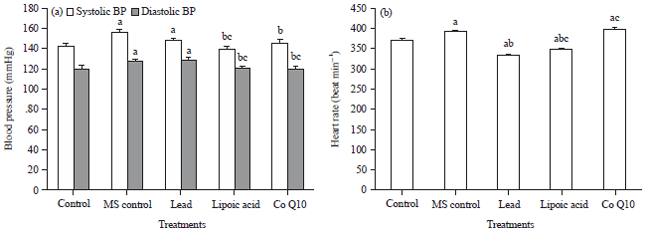 Image for - Lipoic Acid and Coenzyme Q10 Protect Against Lead-induced Toxicity in Rats with Metabolic Syndrome