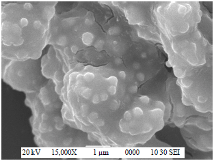 Image for - Preparation of a Metal and Herbal Nanocomposite (HCNC): Coating onto Wound Dressing Materials and Evaluating its Pharmacological Properties Like Antimicrobial Activity and Biocompatibility