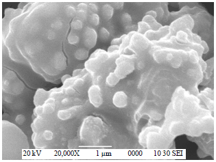 Image for - Preparation of a Metal and Herbal Nanocomposite (HCNC): Coating onto Wound Dressing Materials and Evaluating its Pharmacological Properties Like Antimicrobial Activity and Biocompatibility