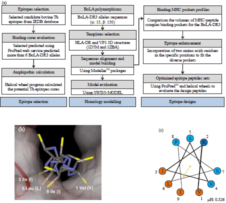 Image for - In silico Design, Synthesis and Potency of an Epitope-based Vaccine Against Foot-and-mouth Disease Virus