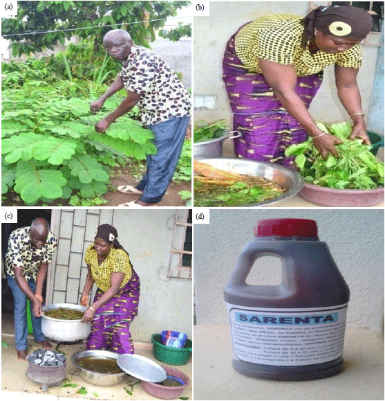 Image for - Analgesic Efficacy, Quality and Safety of “Sarenta”: An HerbalPreparation from Ivorian Traditional Medicine