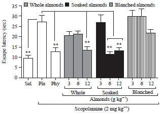 Image for - Soaked Almonds Exhibit Vitamin E-dependent Memory Protective Effect in Rodent Models