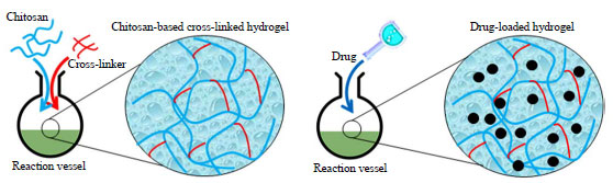 Image for - Biomaterials-based Hydrogels and their Drug Delivery Potentialities
