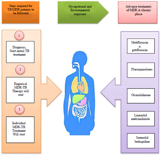 Image for - Advances in the Treatment Options Towards Drug-Resistant Tuberculosis