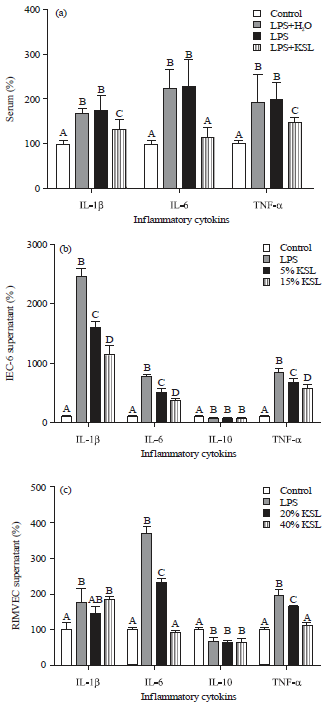 Image for - Protective Effect of Kushenlu on Lipopolysaccharide-induced Small Intestinal Inflammation in Rats