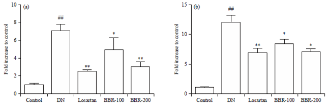 Image for - Renoprotective Effect of Berberine on Streptozotocin-inducedDiabetic Nephropathy Rats