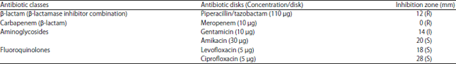 Image for - Molecular Characterization of β-lactam Antibiotic Resistant Pseudomonas aeruginosa Isolated from Egyptian Food