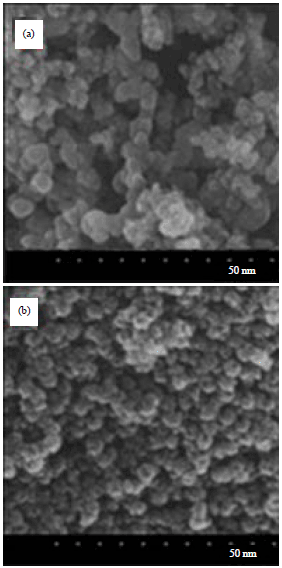 Image for - Zein Coated Zinc Oxide Nanoparticles: Fabrication and Antimicrobial Evaluation as Dental Aid