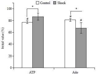 Image for - Foot-shock Stimulation Decreases the Inhibitory Action of ATP on Contractility and End-plate Current of Frog Sartorius Muscle