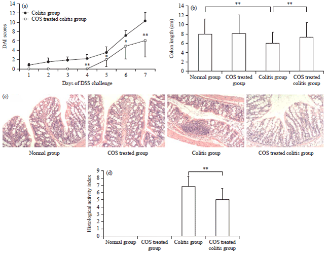 Image for - Orally Administered Chitooligosaccharides Modulate Colon Microbiota in Normal and Colitis Mice