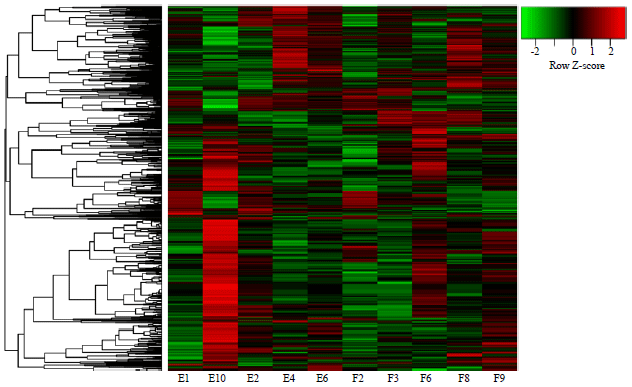 Image for - MicroRNA Microarray Analysis to Investigate the Key Genes and microRNAs Regulated by Amomum cardamomum in Nephropathy Rat Model