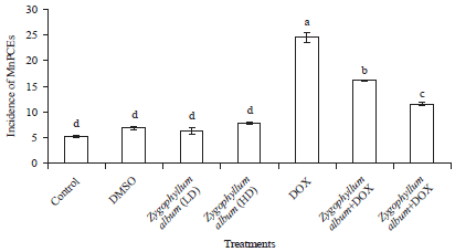 Image for - Ameliorative Effect of Zygophyllum album Extract Against Hepatotoxicity Induced by Doxorubicin in Male Mice