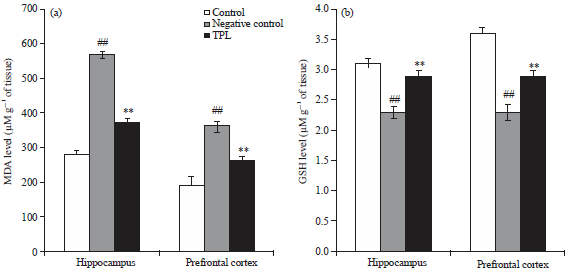 Image for - Evaluation of Antidepressant Activity of Triptolide in Lipopolysaccharide Induced Depressive like Behavior in Experimental Mice