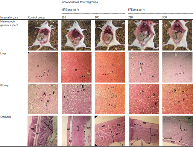 Image for - Acute and Subacute Oral Toxicity Assessment of Gender ofAhaggar’s Aerva javanica in Animal Models