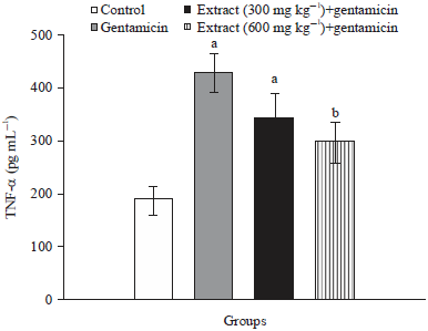 Image for - Flavonoids-rich Extract of Beta vulgaris Subsp. cicla L. var. Flavescens Leaf, a Promising Protector Against Gentamicin- induced Nephrotoxicity and Hepatotoxicity in Rats
