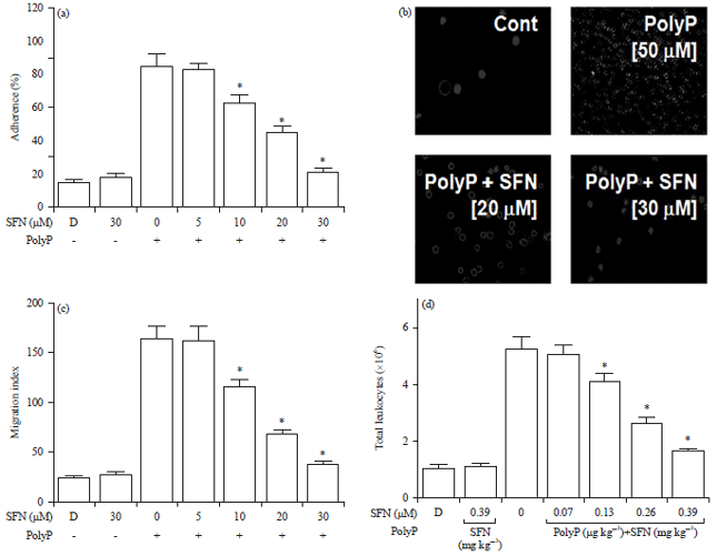 Image for - Inhibitory Effects of Sulforaphane on Polyphosphate-mediated Septic Responses