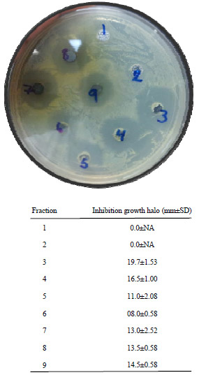 Image for - Bactericidal Activity, Isolation and Identification of Most Active Compound from 20 Plants used in Traditional Mexican Medicine Against Multidrug-Resistant Bacteria