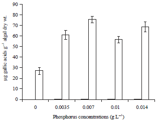 Image for - Influence of Various Concentrations of Phosphorus on the Antibacterial, Antioxidant and Bioactive Components of Green Microalgae Scenedesmus obliquus