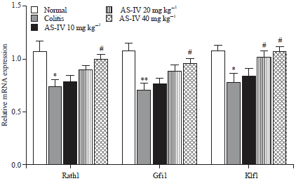 Image for - Astragaloside IV Attenuates Trinitrobenzene Sulphonic Acid (TNBS)-Induced Colitis via Improving Mucosal Barrier Function: Role of Goblet Cells