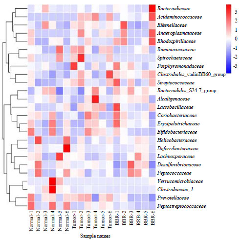 Image for - Antitumor Ability of Berberine Accompanied by Modulation of Gut Microbiome in Sarcoma-180 Tumor-bearing Mice