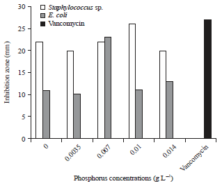 Image for - Influence of Various Concentrations of Phosphorus on the Antibacterial, Antioxidant and Bioactive Components of Green Microalgae Scenedesmus obliquus