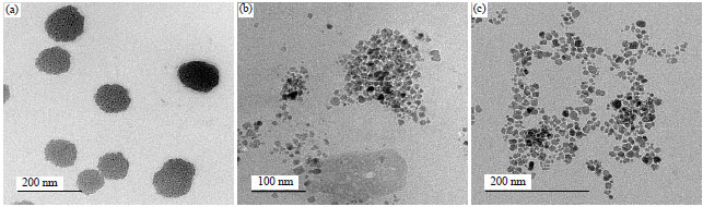 Image for - Novel Combination of Alprostadil-D-tocopheryl Polyethylene Glycol Succinate for Treatment of Erectile Dysfunction