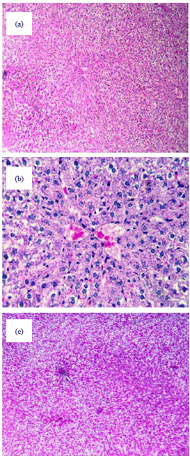 Image for - Camel Urotherapy and Hepatoprotective Effects Against Carbon Tetrachloride-induced Liver Toxicity