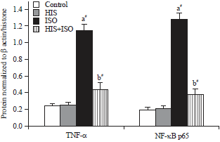 Image for - Cardioprotective Efficacy of Hispidulin on Isoproterenol-induced Heart Failure in Wistar Rats