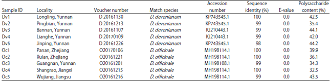 Image for - Comparison of Immunomodulating Activities of Dendrobium devonianum and Dendrobium officinale In vitro and In vivo