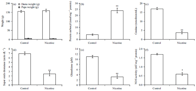 Image for - Exposure of Nicotine in Neonatal Rats Induces ActivatedInflammatory Cytokines and Altered Biomarkers Related toCardiac Dysfunction