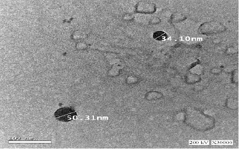 Image for - Simvastatin Loaded D-α-tocopherol Polyethylene Glycol 1000 Succinate Micelles Augments Cytotoxicity Against Breast Cancer Cells