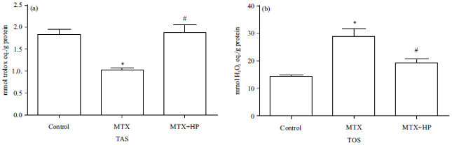 Image for - Protective Effect of Hypericum perforatum Extract on Methotrexate-Induced Osteotoxicity via Reducing Oxidative Stress and MAPK Activity