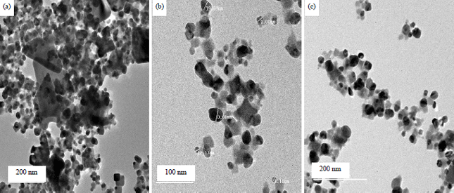 Image for - Antimicrobial Activity of Silver and Zinc Nanoparticles Mediated by Eggplant Green Calyx