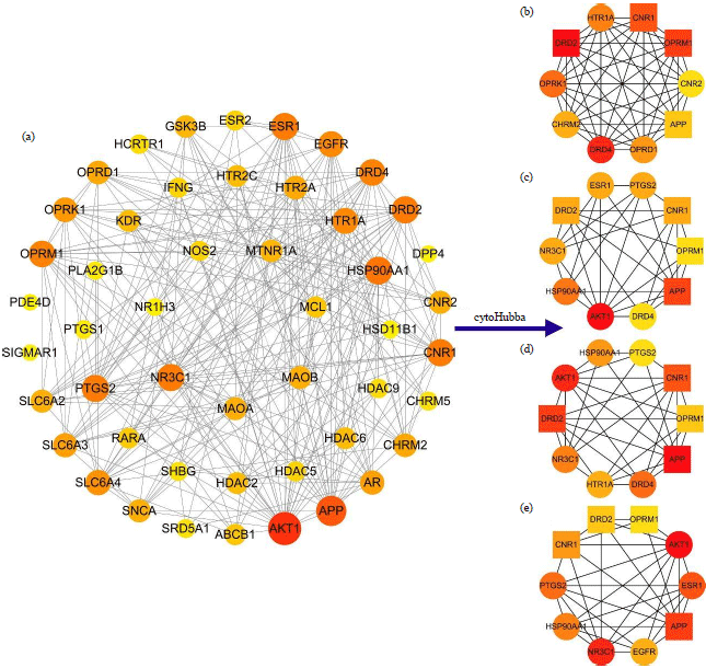 Image for - A Network Pharmacology Approach to Investigate the Anti-Depressive Mechanism of Gardeniae fructus